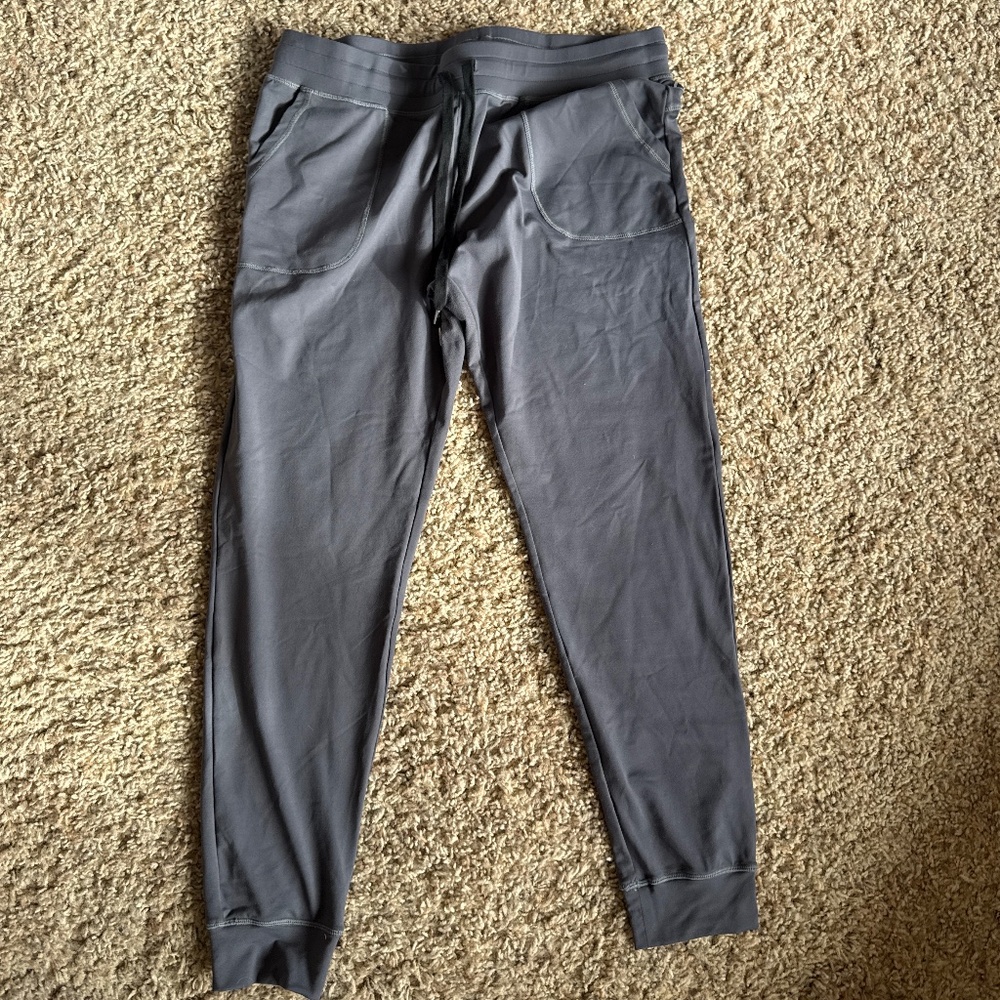 Zyia Joggers